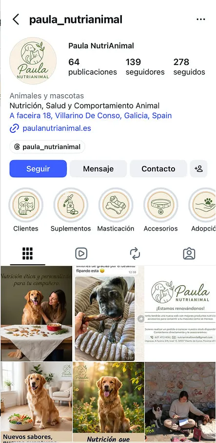 Ejemplo de perfil de Instagram para marcas y negocios